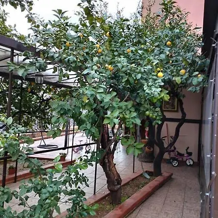 La Casetta Dei Limoni Διαμέρισμα